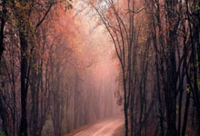 镀锌排管散热器的优势:镀锌方管
