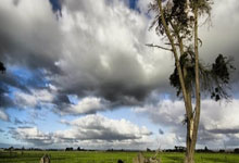 大唐发电招标结果：大唐国际张家口发电公司检修现场布置不锈钢方管询比采购项目采购结果公告:方管