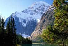 花卉大棚用光排管散热器的优势:大棚管
